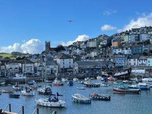 un grupo de barcos en el agua en un puerto en Drift Cottage - Fisherman's Cottage Brixham harbour, en Brixham