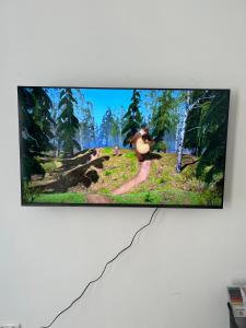 einen Flachbild-TV, der an einer Wand hängt in der Unterkunft Apartment in Stadtzentrum Oelsnitz in Oelsnitz