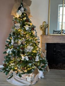 Un árbol de Navidad con un gato debajo. en Détente et vue exceptionnelle à L'appart' de Charles en Dole