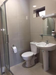 a bathroom with a toilet and a sink and a shower at An Uaimh , superb 6 bedroom house. in Killybegs