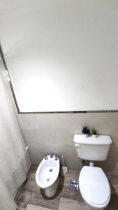 a bathroom with a white toilet and a sink at SoHo Flat in Tandil +4 photos