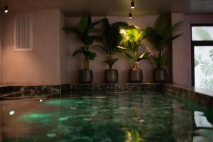 a swimming pool with potted plants in a room at White Hill Hotel, SPA & Conferences in Durrës