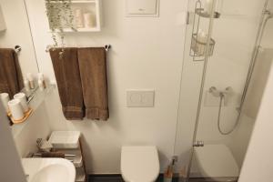 La petite salle de bains est pourvue d'une douche et de toilettes. dans l'établissement Haus Meierhüsli, à Malans