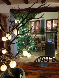 Beniali的住宿－Boutique hotel El Capricho，客厅里的圣诞树,配有电视