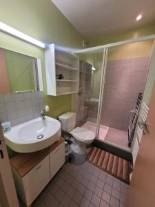 a bathroom with a sink and a toilet and a shower at Studio Rez de Chaussée Meublé in La Roche-Posay