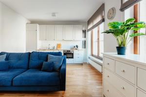 Η κουζίνα ή μικρή κουζίνα στο Apartament Premium Plac Litewski 7 +6 φωτογραφίες