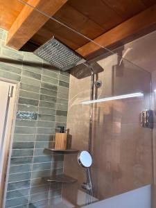 a shower with a glass door in a bathroom at Chalet LYS Apartment 14 Rue Sigma in Champoussin