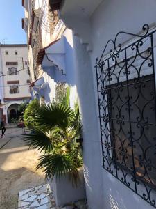 a white building with a gate and a palm tree at Blue heart in Chefchaouene +33 photos