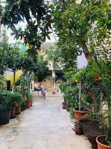 Villa Sami’s Garden - Image 4