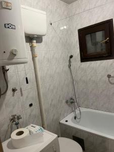 een kleine badkamer met een toilet en een wastafel bij Jelena in Novi Sad