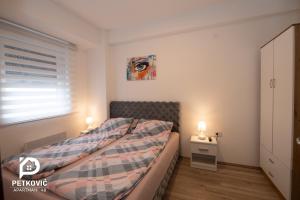 Postel nebo postele na pokoji v ubytování Petković apartmani 48