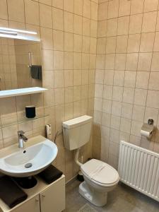 een badkamer met een toilet en een wastafel bij Appartements Mair in Strobl in Strobl