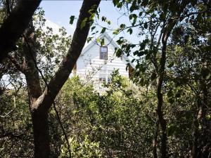 a white house seen through the trees at Chelsea Manor in Kini Bay