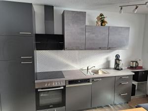 una cocina con armarios de acero inoxidable y fregadero en Apart Ehart, en Schnann