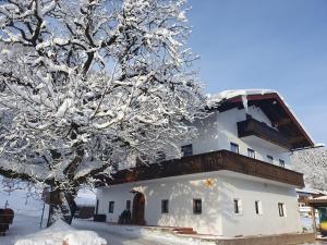 un bâtiment recouvert de neige à côté d'un arbre dans l'établissement Ferienwohnungen Winkler, à Bischofswiesen