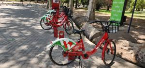 een rij rode fietsen geparkeerd naast elkaar bij PLENO CENTRO Y MUY AMPLIO in Mendoza