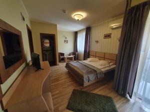 バイレ・オラネシュティにあるHotel Stoguのベッドとテレビが備わるホテルルームです。