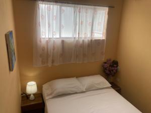 a small bedroom with a bed and a window at Hostel Julieta in Rivas