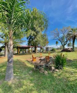 um parque com bancos e uma palmeira em Posada Mahatma em Tacuarembó