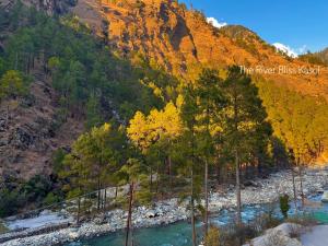 a view of a river with trees and a mountain at Hotel Mid Orchard Kasol -River Side in Kasol