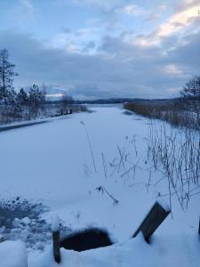 a frozen pond with snow on the ground at Cottage by the sea in Turku