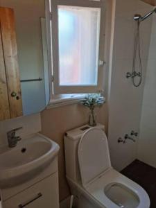 łazienka z toaletą, umywalką i oknem w obiekcie North Perth Stylish Abode CBD w mieście Perth