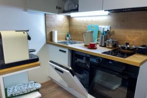 a small kitchen with a stove and a sink at Rezidence My Mozart in Prague