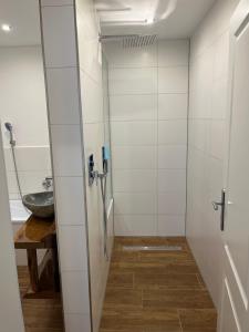 a shower stall in a bathroom with a sink at Schildetal Apartment's in Vellahn
