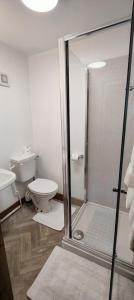 a bathroom with a toilet and a glass shower stall at The Herdwick Inn in Penruddock