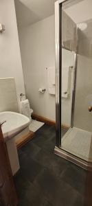 a bathroom with a shower and a sink and a toilet at The Herdwick Inn in Penruddock