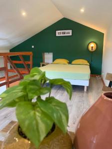 - une chambre verte avec un lit et une plante dans l'établissement Appart des airs Mamoudzou, à Mamoudzou