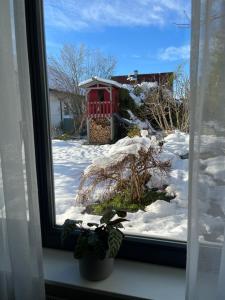 ein Fenster mit Blick auf einen schneebedeckten Hof in der Unterkunft Ferienhaus GOETHE49 in Rielasingen-Worblingen