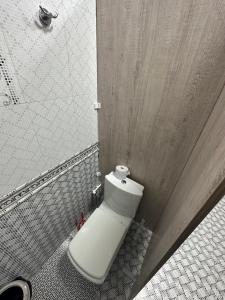 a white toilet in a bathroom with a shower at Palm Hostel in Tashkent +22 photos