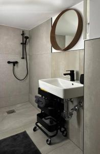 a bathroom with a white sink and a mirror at Hygge Cabin in Buttelstedt