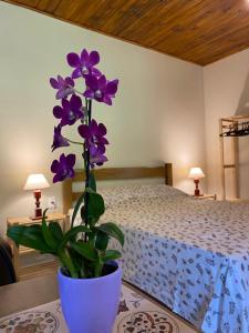 una flor púrpura en un jarrón sobre una mesa junto a una cama en Namata CHALÉS en Nova Friburgo
