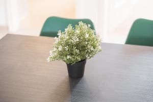 a black vase with white flowers on a table at MONTEURWOHNUNG in Ebersbach EB01 RAUMSCHMIDE Apartments in Ebersbach an der Fils