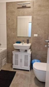 a bathroom with a sink and a toilet and a mirror at Lovely apartment in City Center in Timişoara