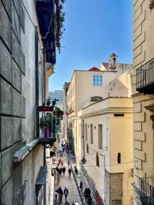 Okolí apartmánu + 90 fotografií