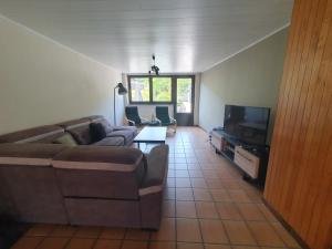 sala de estar con sofá y TV en Le gîte du boulanger, en Alle