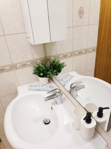 a bathroom sink with a plant on top of it at Old Town Retreat with Stunning Views 2 bedroom Apartment in Rīga