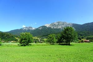 a green field with trees and mountains in the background at Landhaus Weiß in Bad Reichenhall