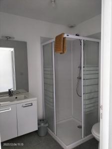 uma casa de banho com um chuveiro e um lavatório. em 2 SDB - 2 Chambres - 1 lit d'appoint enfants em Montaigu-Vendée