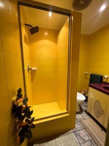 a yellow bathroom with a shower and a toilet at Poolside Artistic Retreat in Johannesburg
