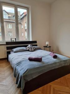 a large bed in a bedroom with a large window at Wide and Bright room in Krakow in Krakow