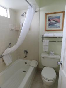 a bathroom with a tub and a toilet and a sink at Thunderbird Motel in Elko
