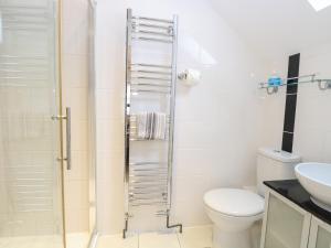 a bathroom with a shower and a toilet and a sink at Kittiwake Cottage in Hunstanton