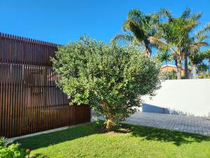 a tree in a yard next to a fence at Bayside Bliss Studio Apartment in Summerstrand