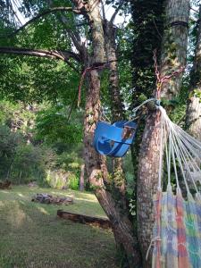 a dog in a hammock hanging from a tree at Espacio Joseana in Cerro Caqueira