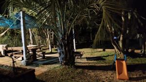 a playground with a palm tree and a slide at Espacio Joseana in Cerro Caqueira