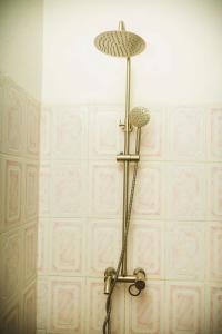a shower in a bathroom with a pink wall at Room in Guest room - Isange Paradise Resort in Ruhengeri